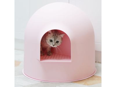 pink cat litter